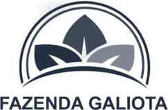 Fazenda Galiota